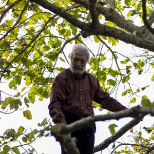 MolinedduSitoWeb_1 (Demo)