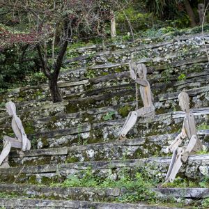 MolinedduSitoWeb_11 (Demo)