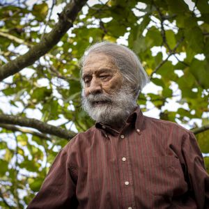 MolinedduSitoWeb_2 (Demo)