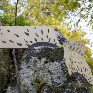 Molineddu_HD_14 (Demo)