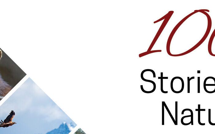 Il Parco delle Arti Molineddu inaugura la stagione culturale 2025 con la mostra fotografica “100 Storie di Natura”